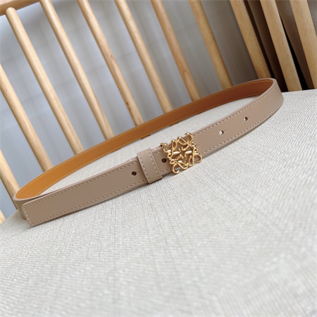 Loewe Belt In Smooth Calfskin 20MM Gold Hardware Nude Pink/Brown