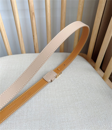 Loewe Belt In Smooth Calfskin 20MM Gold Hardware Nude Pink/Brown
