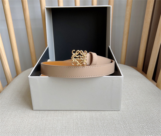 Loewe Belt In Smooth Calfskin 20MM Gold Hardware Nude Pink/Brown