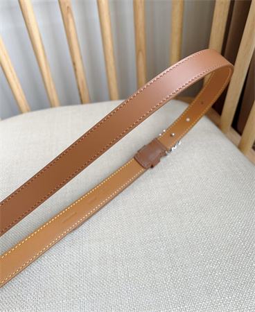Loewe Belt In Smooth Calfskin 20MM Silver Hardware Brown