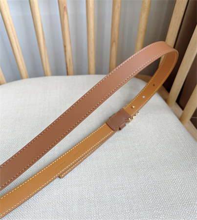 Loewe Belt In Smooth Calfskin 20MM Gold Hardware Brown