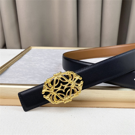 Loewe Belt In Calfskin 30MM Gold Hardware Black/Brown