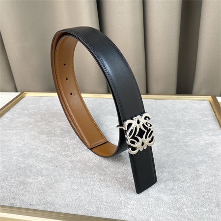 Loewe Belt In Calfskin 30MM Silver Hardware Brown/Black