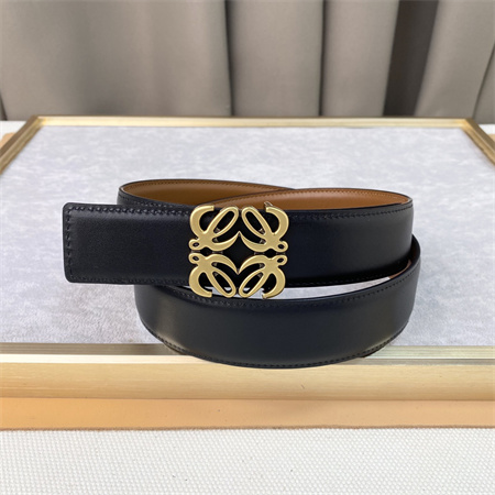 Loewe Belt In Calfskin 30MM Gold Hardware Brown/Black