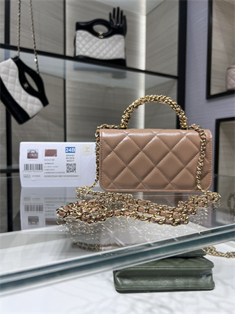 Cha.nel Flap Phone Holder with Chain Shiny Lambskin & Gold-Tone Metal Nude Pink AP4167