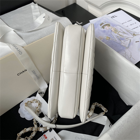 Cha.nel Trendy CC Mini Flap Bag With Top Handle Lambskin Gold Tone Metal White AS4654