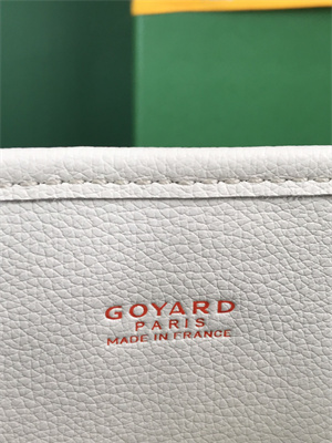 Goyard Anjou Mini Bag Chevroches Calfskin & Goyardine Canvas