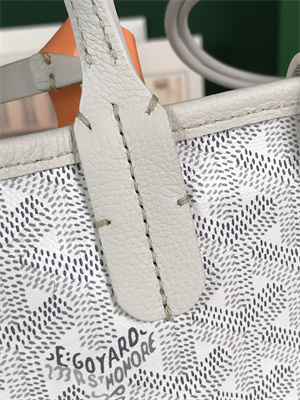 Goyard Anjou Mini Bag Chevroches Calfskin & Goyardine Canvas