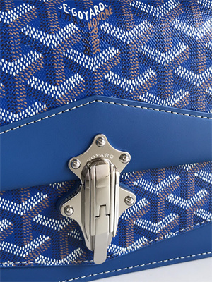 Goyard Duchesse Marie-Caroline Bag Goyardine Canvas & Cervon Calfskin