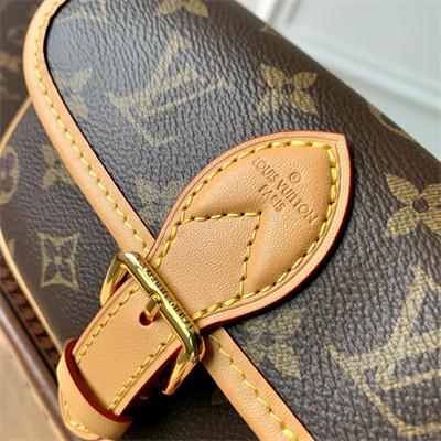 LV Nano Diane Monogram Canvas M83298