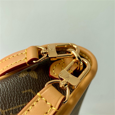 LV Nano Diane Monogram Canvas M83298