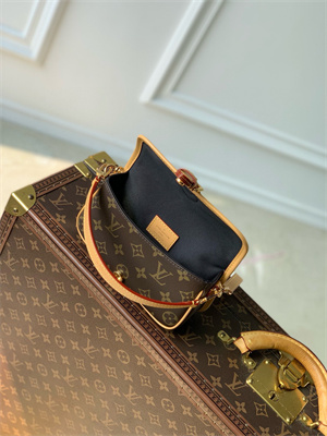 LV Nano Diane Monogram Canvas M83298