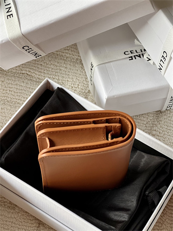 Celine TRIOMPHE COMPACT WALLET in Shiny calfskin Brown