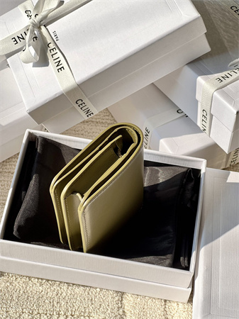 Celine TRIOMPHE COMPACT WALLET in Shiny calfskin Kaki Green