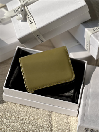 Celine TRIOMPHE COMPACT WALLET in Shiny calfskin Kaki Green