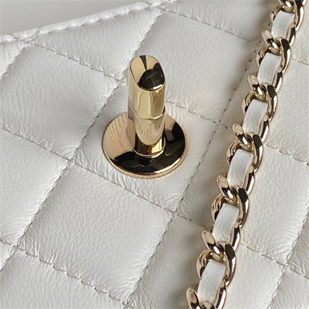 Chanel Clutch With Chain Lambskin Gold Tone Metal White AP4184