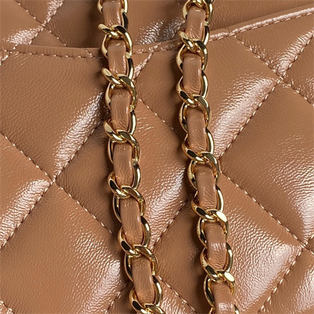 Chanel Mini Flap Bag with Top Handle Shiny Lambskin & Gold-Tone Metal Brown AS5043