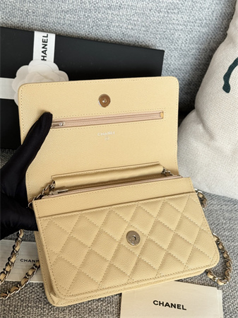 Chanel Wallet On Chain Grained Calfskin Silver Tone Metal Beige AP0250