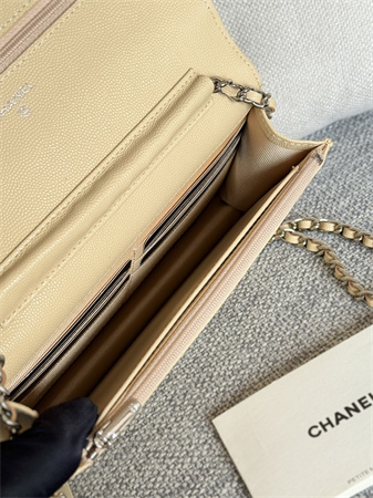 Chanel Wallet On Chain Grained Calfskin Silver Tone Metal Beige AP0250