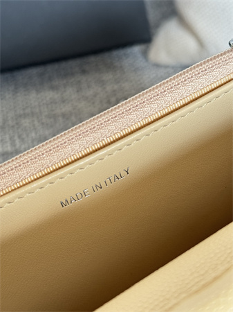 Chanel Wallet On Chain Grained Calfskin Silver Tone Metal Beige AP0250