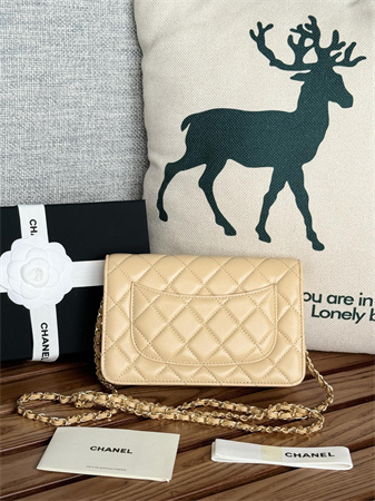 Chanel Wallet On Chain Lambskin Gold Tone Metal Beige AP0250