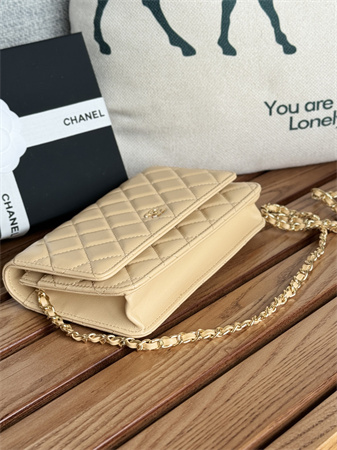 Chanel Wallet On Chain Lambskin Gold Tone Metal Beige AP0250