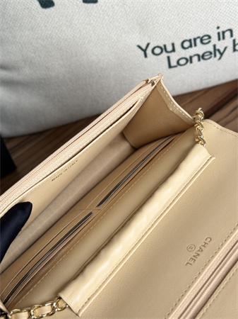 Chanel Wallet On Chain Lambskin Gold Tone Metal Beige AP0250