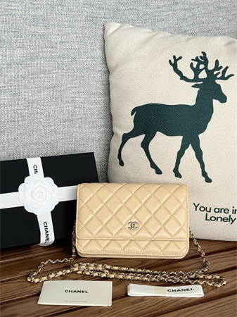 Chanel Wallet On Chain Lambskin Silver Tone Metal Beige AP0250