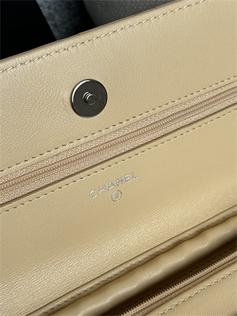Chanel Wallet On Chain Lambskin Silver Tone Metal Beige AP0250