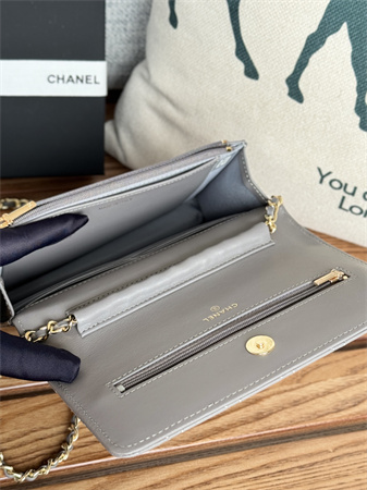 Chanel Wallet On Chain Lambskin Gold Tone Metal Grey AP0250