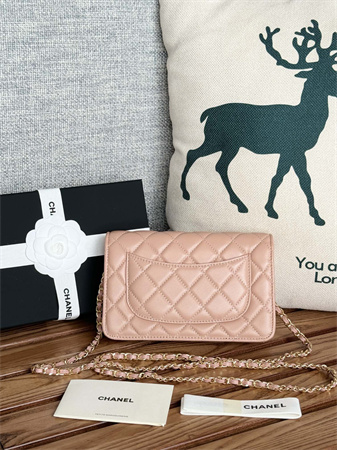 Chanel Wallet On Chain Lambskin Gold Tone Metal Pink AP0250