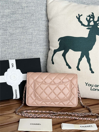 Chanel Wallet On Chain Lambskin Silver Tone Metal Pink AP0250