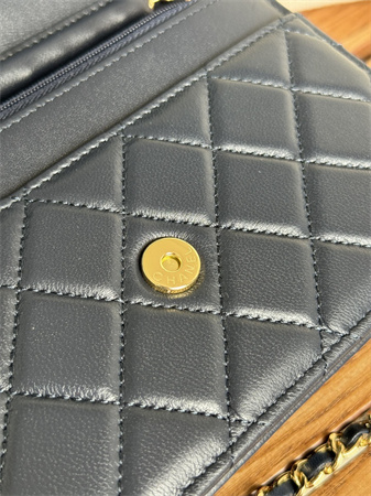 Chanel Wallet On Chain Lambskin Gold Tone Metal Navy AP0250