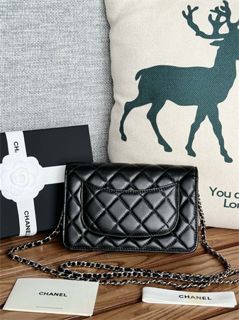 Chanel Wallet On Chain Lambskin Silver Tone Metal Black AP0250