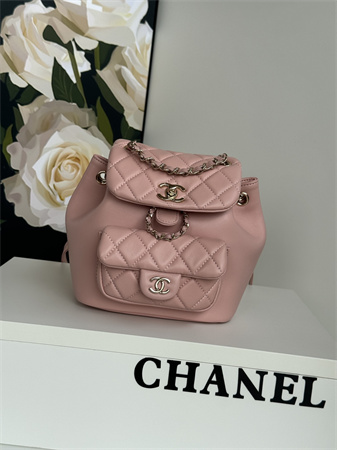 Chanel Duma Backpack Lambskin Gold Tone Metal Pink AS2908