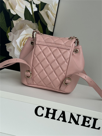 Chanel Duma Backpack Lambskin Gold Tone Metal Pink AS2908