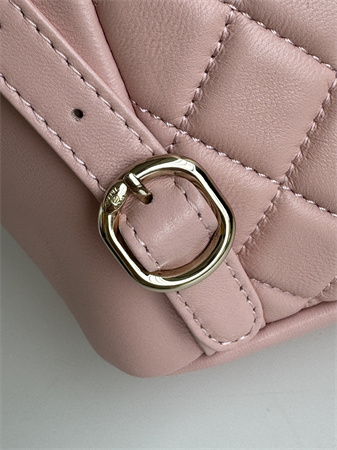 Chanel Duma Backpack Lambskin Gold Tone Metal Pink AS2908