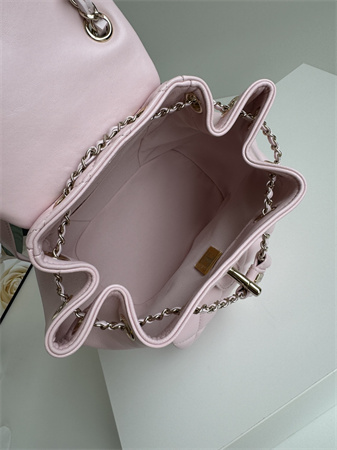 Chanel Duma Backpack Lambskin Gold Tone Metal Lt Pink AS2908