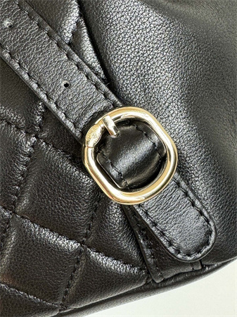 Chanel Duma Backpack  Calfskin Gold Tone Metal Black AS3618