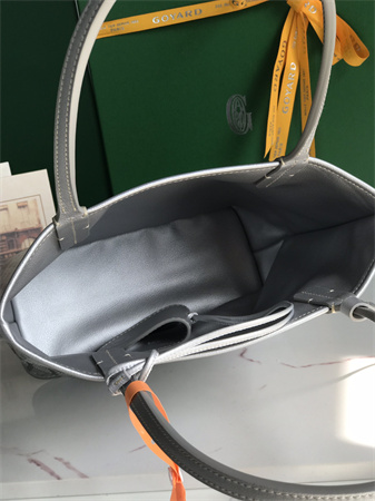 Goyard Anjou Mini Bag Chevroches Calfskin & Goyardine Canvas