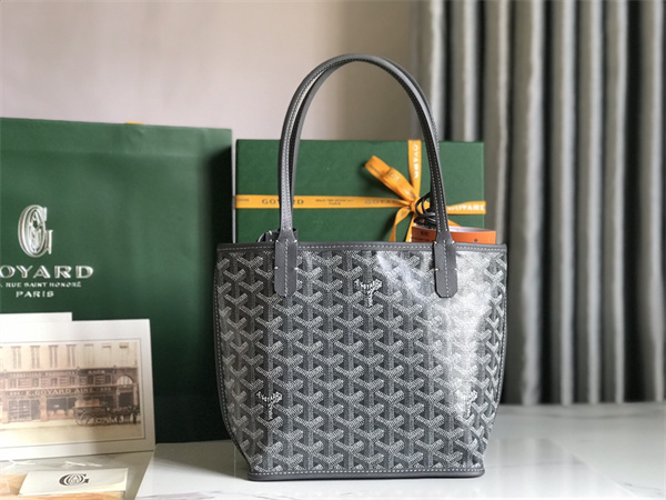Goyard Anjou Mini Bag Chevroches Calfskin & Goyardine Canvas