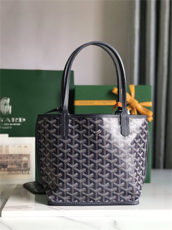 Goyard Anjou Mini Bag Chevroches Calfskin & Goyardine Canvas