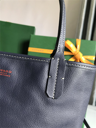 Goyard Anjou Mini Bag Chevroches Calfskin & Goyardine Canvas