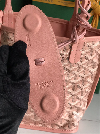 Goyard Anjou Mini Bag Chevroches Calfskin & Goyardine Canvas