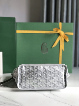 Goyard Anjou Mini Bag Chevroches Calfskin & Goyardine Canvas