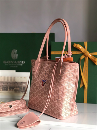 Goyard Anjou Mini Bag Chevroches Calfskin & Goyardine Canvas