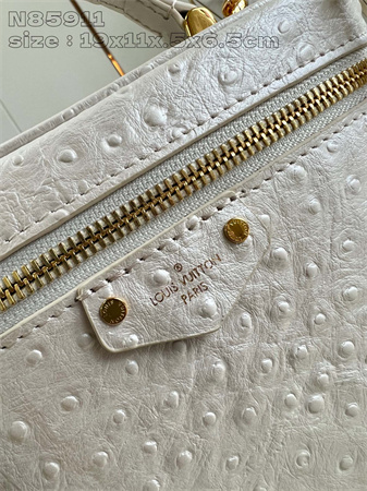 L.V Vanity Chain Pouch Ostrich leather White N85820
