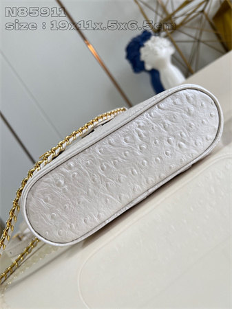 L.V Vanity Chain Pouch Ostrich leather White N85820