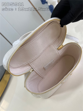 L.V Vanity Chain Pouch Ostrich leather White N85820