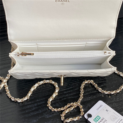 Chanel Clutch with Chain Lambskin, Strass & Gold-Tone Metal White  AP4293